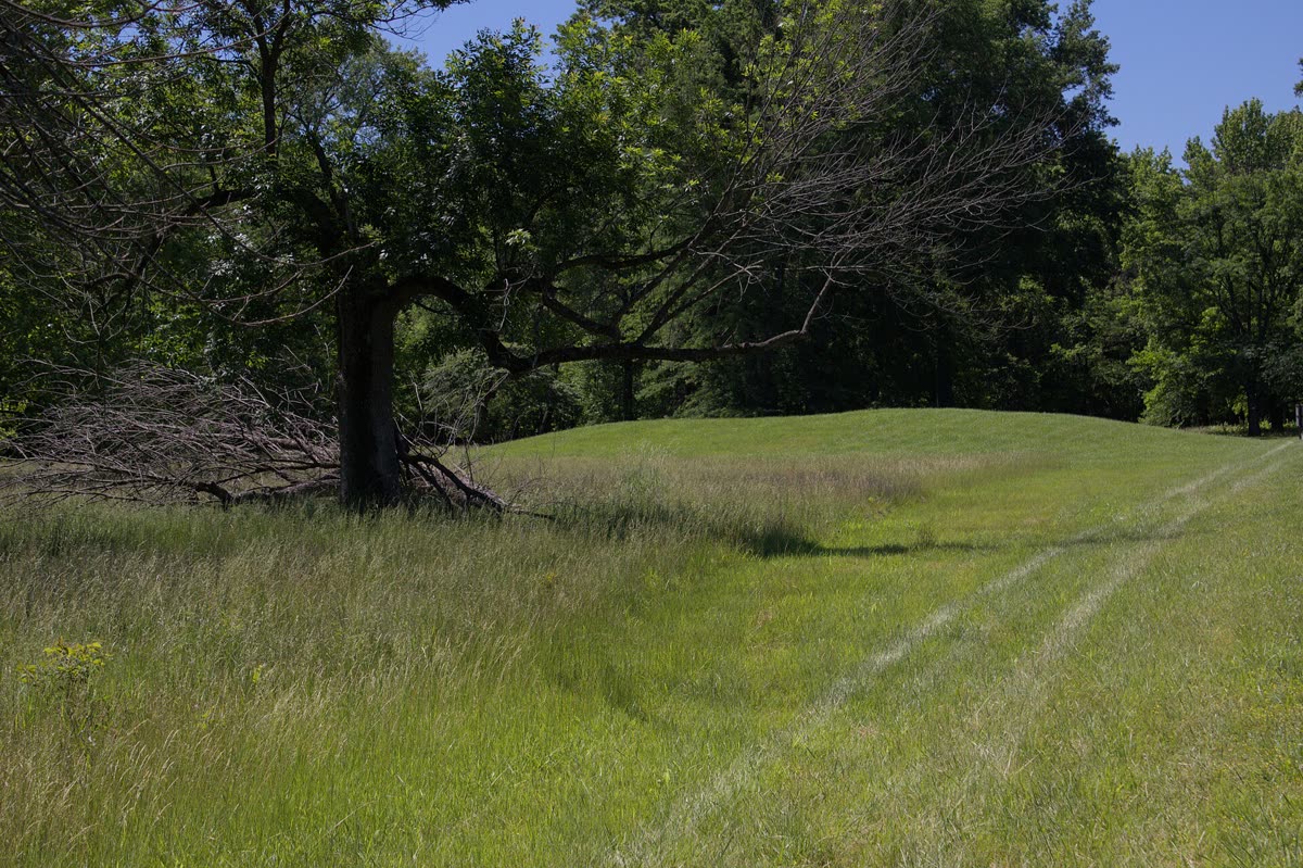 Mound 72: The Burial Mound Across the River With 270 People in It